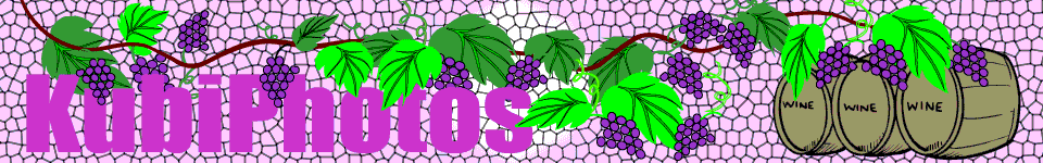 KubiPhoto Header